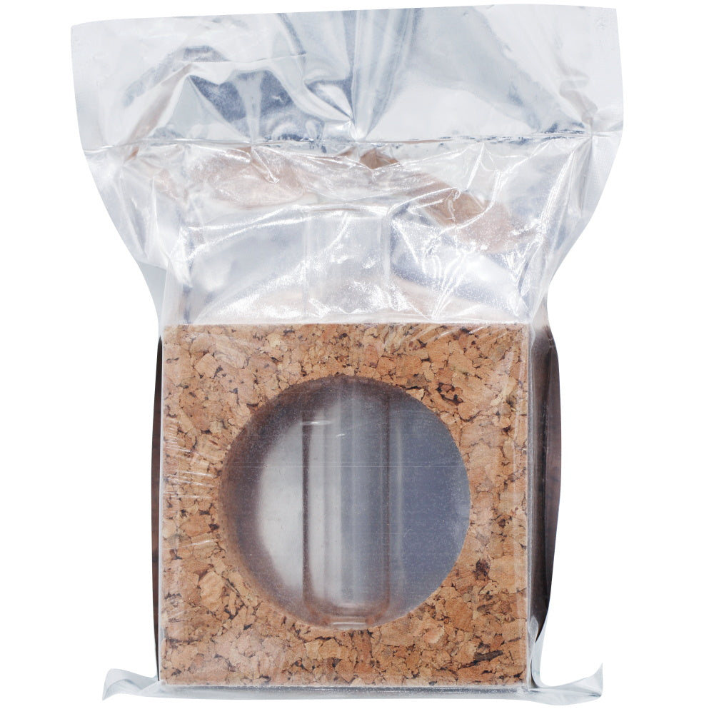 Gift To Love | Cork Test Tube Planter Square | Code : CTTP00
