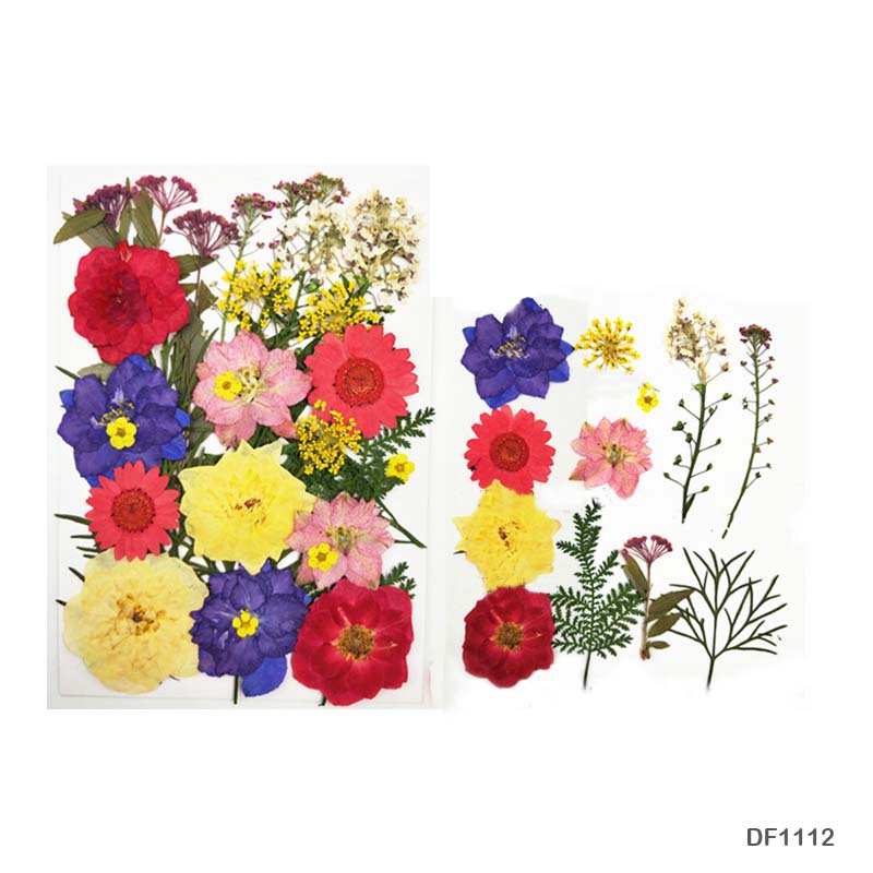 Gift To Love | Dry Flower Sheet | Pcs : 12 Sheets | Code : DF1112