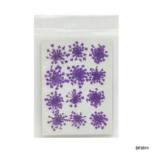 Gift To Love | Dry Flower Sheet | Pcs : 12 Sheets | Code : DF3511