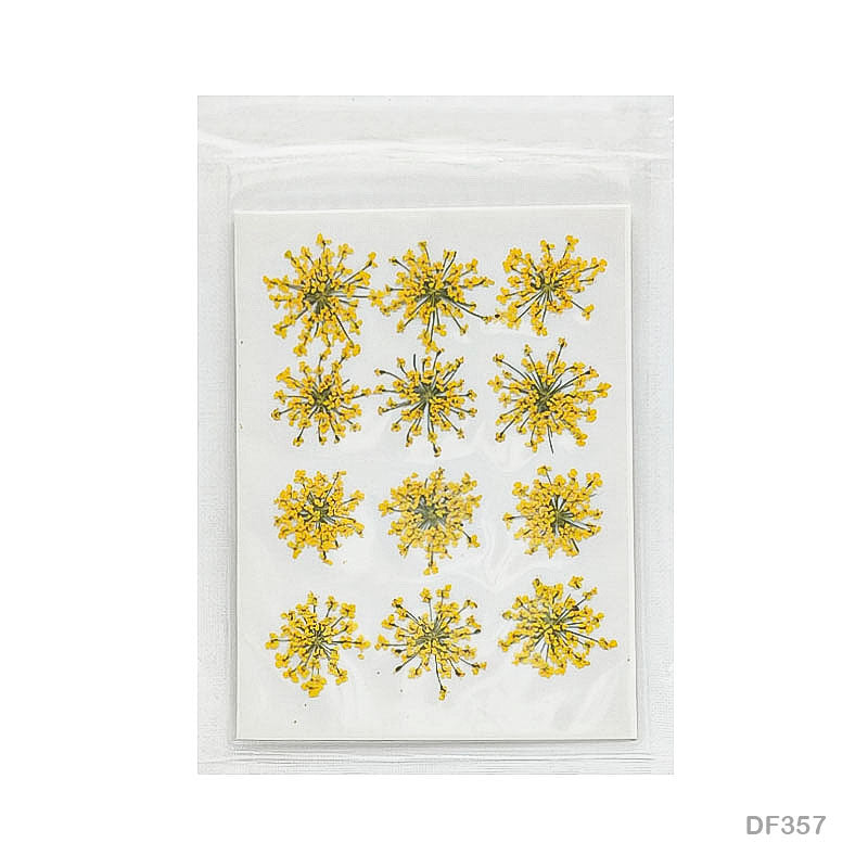 Gift To Love | Dry Flower Sheet | Pcs : 12 Pcs | Code : DF357