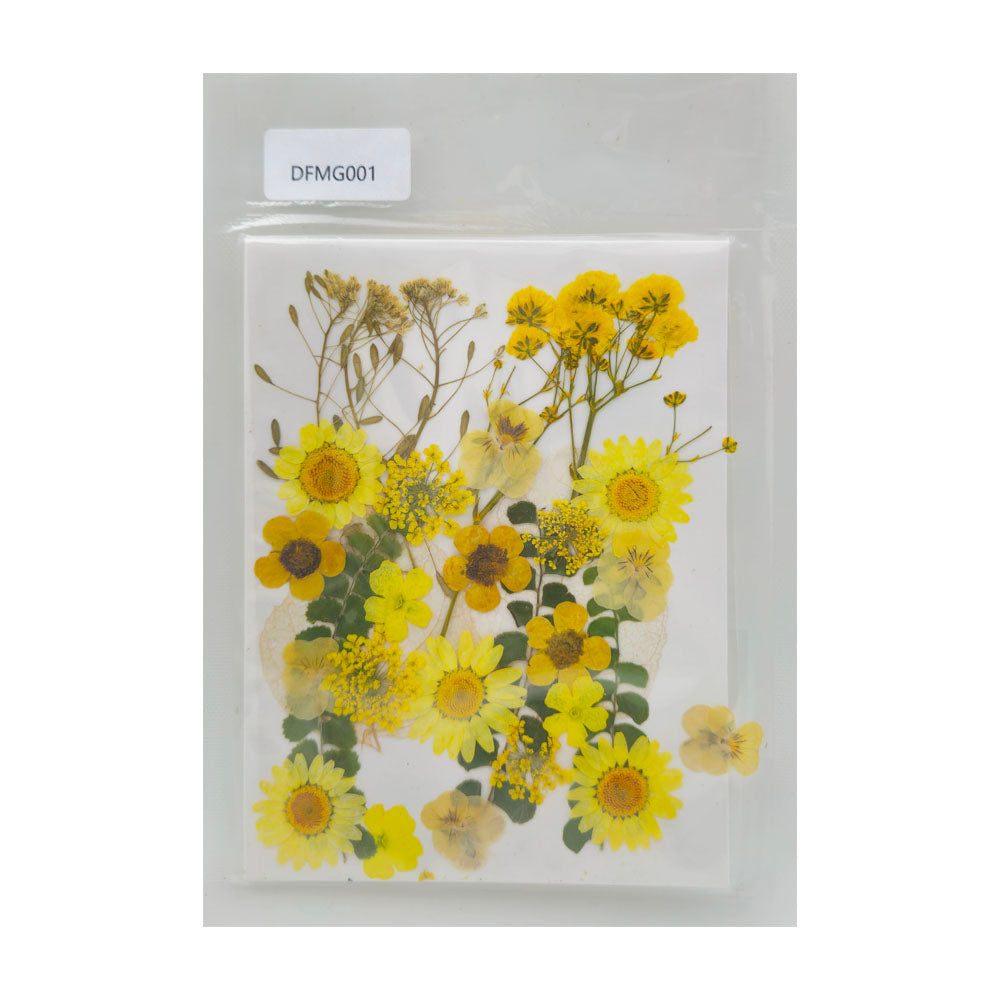 Gift To Love | Dry Flower Sheet | Code : DFMG001