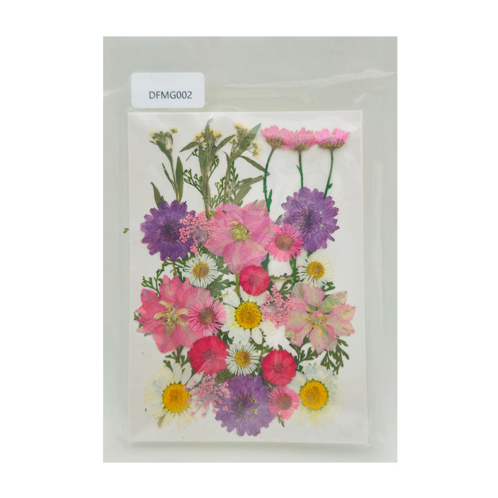 Gift To Love | Dry Flower Sheet | Code : DFMG002