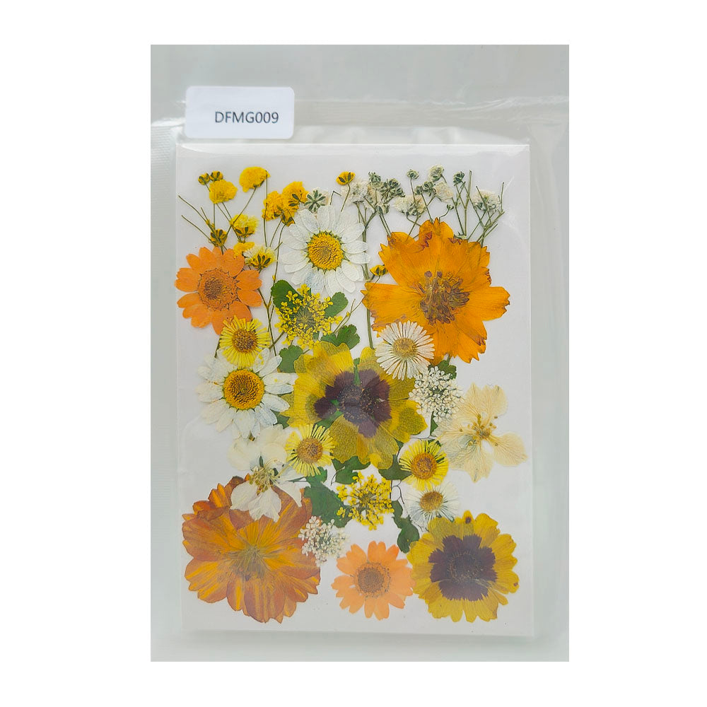 Gift To Love | Dry Flower Sheet | Code : DFMG009