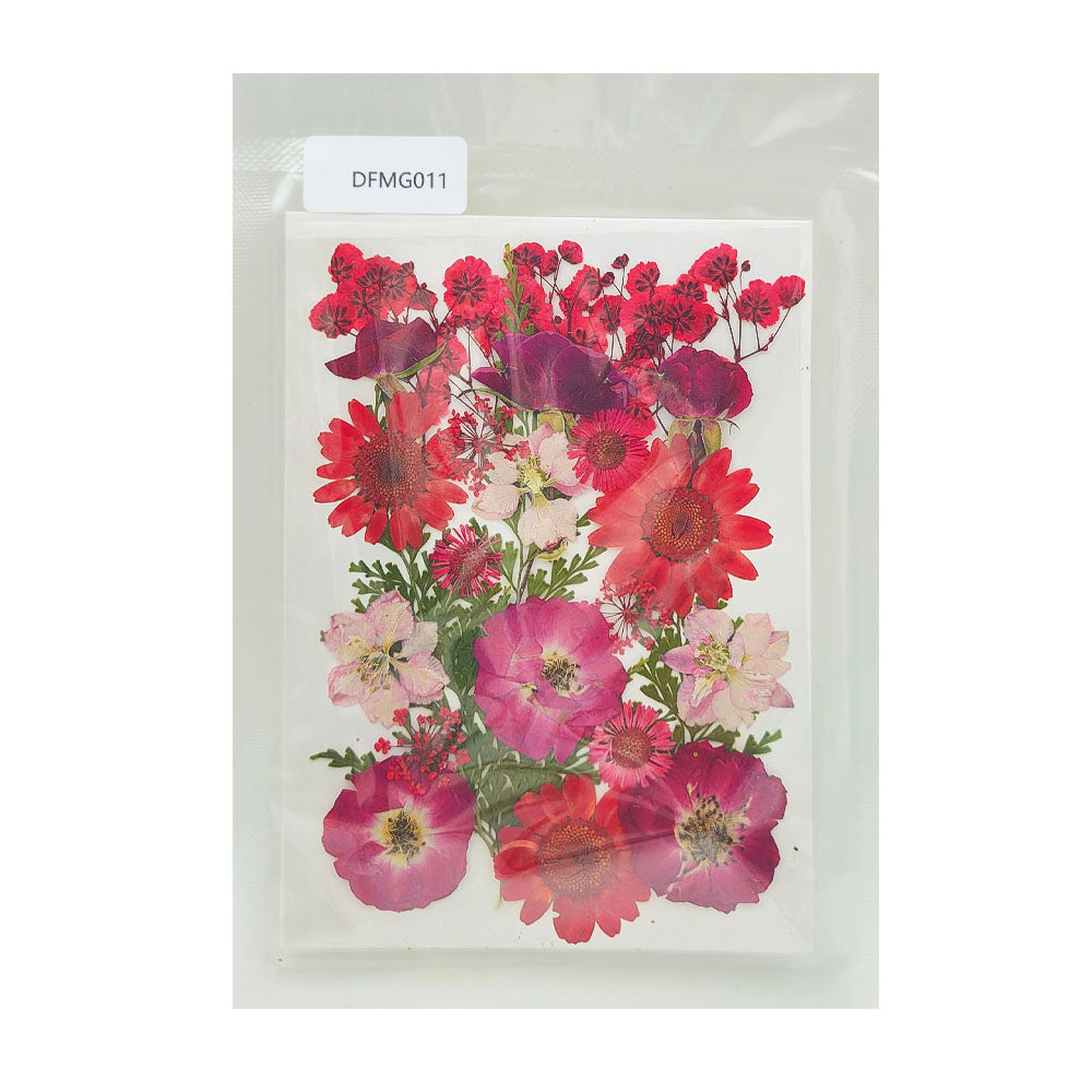 Gift To Love | Dry Flower Sheet | Code : DFMG011