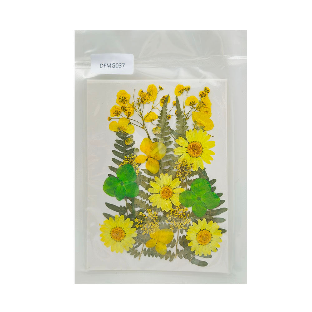 Gift To Love | Dry Flower Sheet | Code : DFMG037