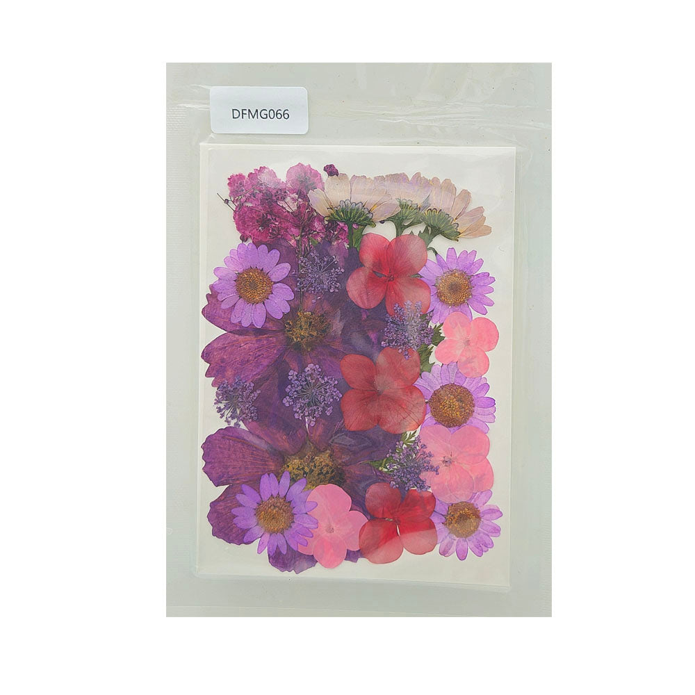 Gift To Love | Dry Flower Sheet | Code : DFMG066