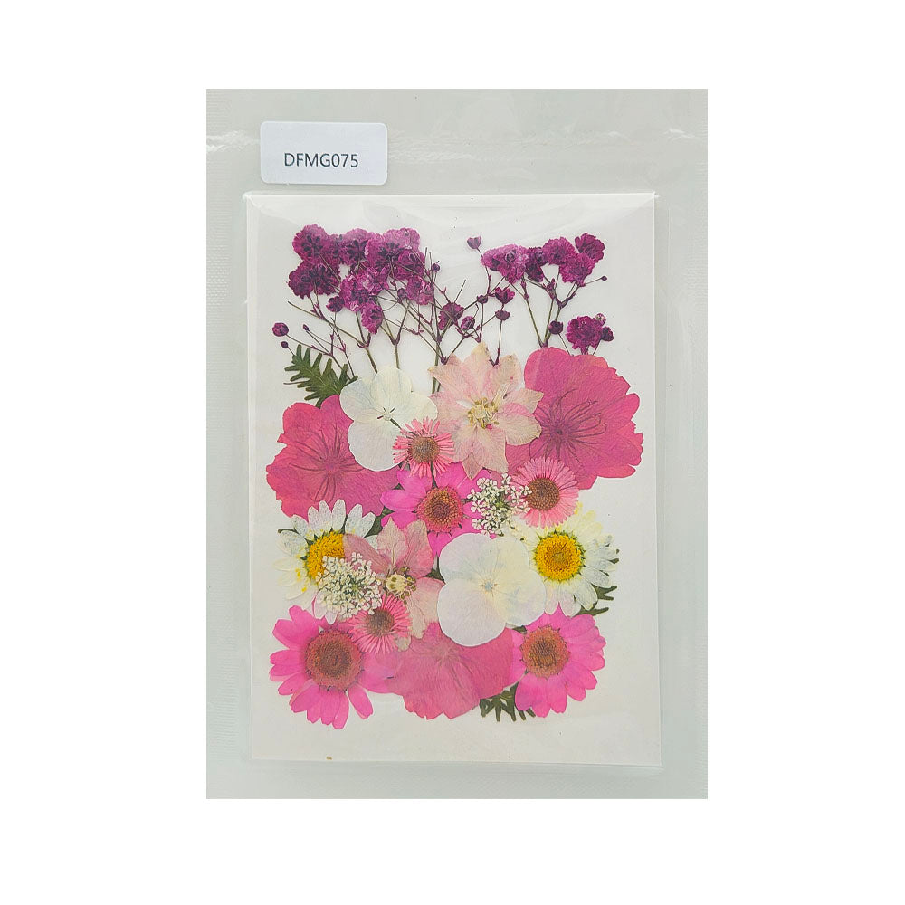 Gift To Love | Dry Flower Sheet | Code : DFMG075