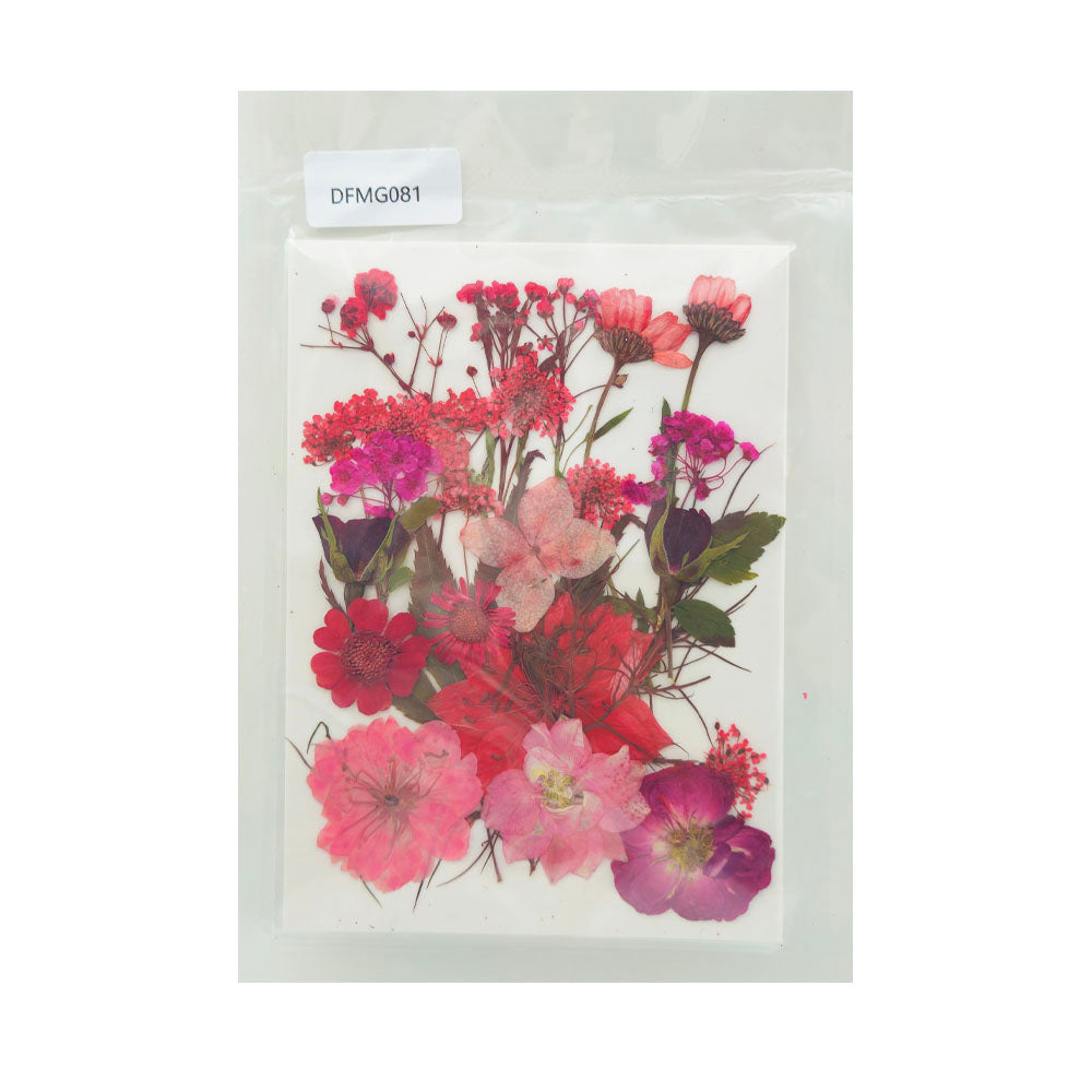 Gift To Love | Dry Flower Sheet | Code : DFMG081