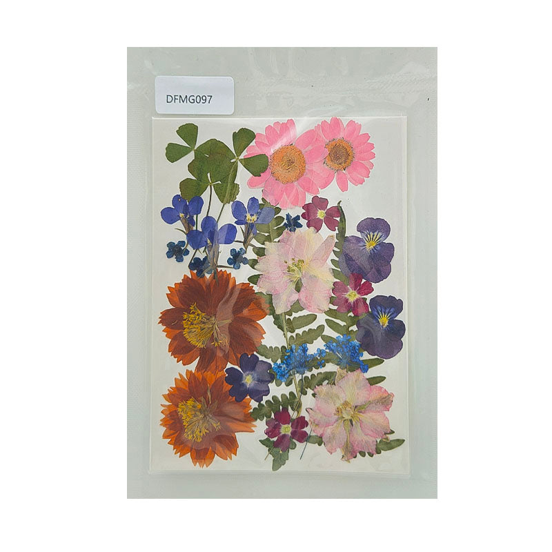 Gift To Love | Dry Flower Sheet | Code : DFMG097