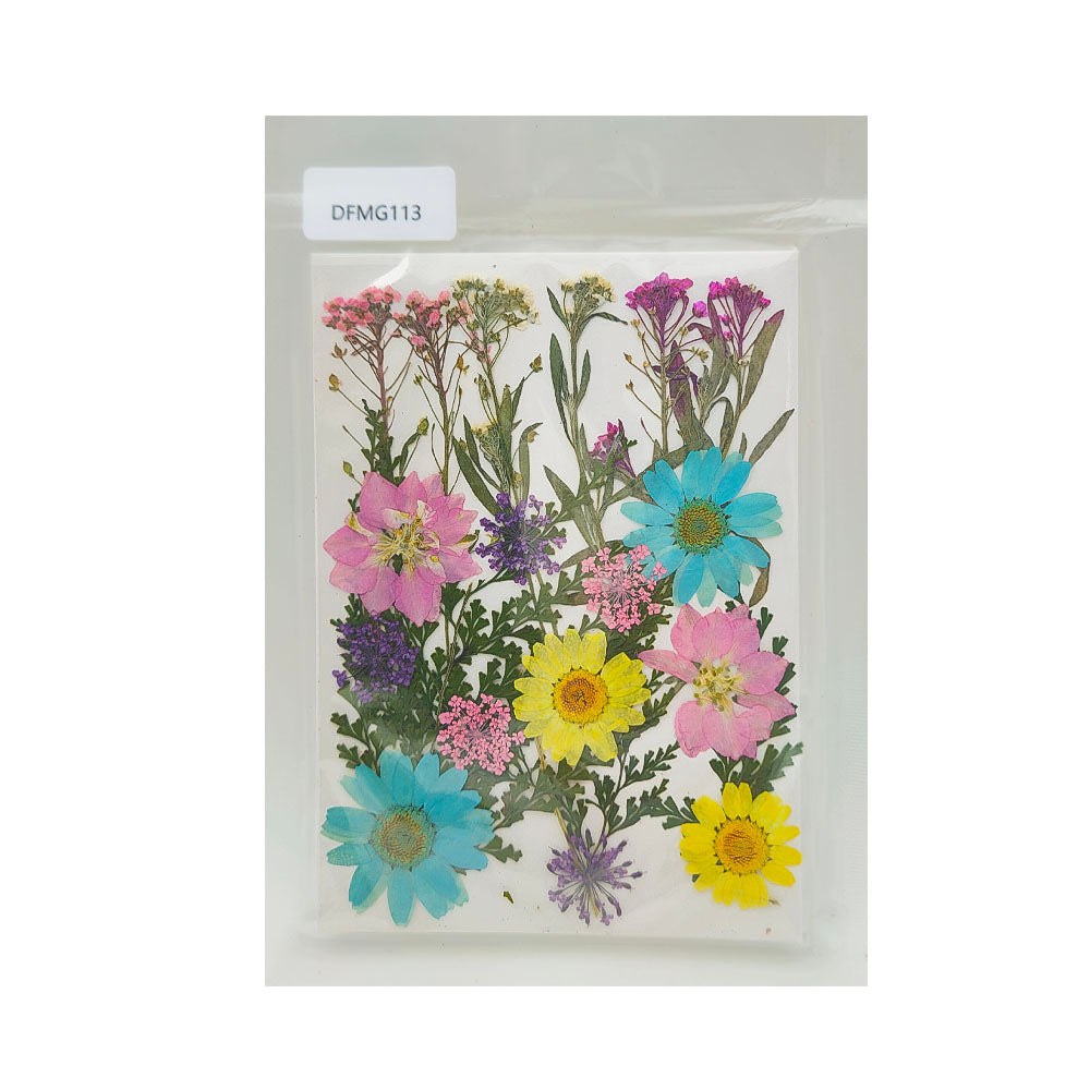 Gift To Love | Dry Flower Sheet | Code : DFMG113