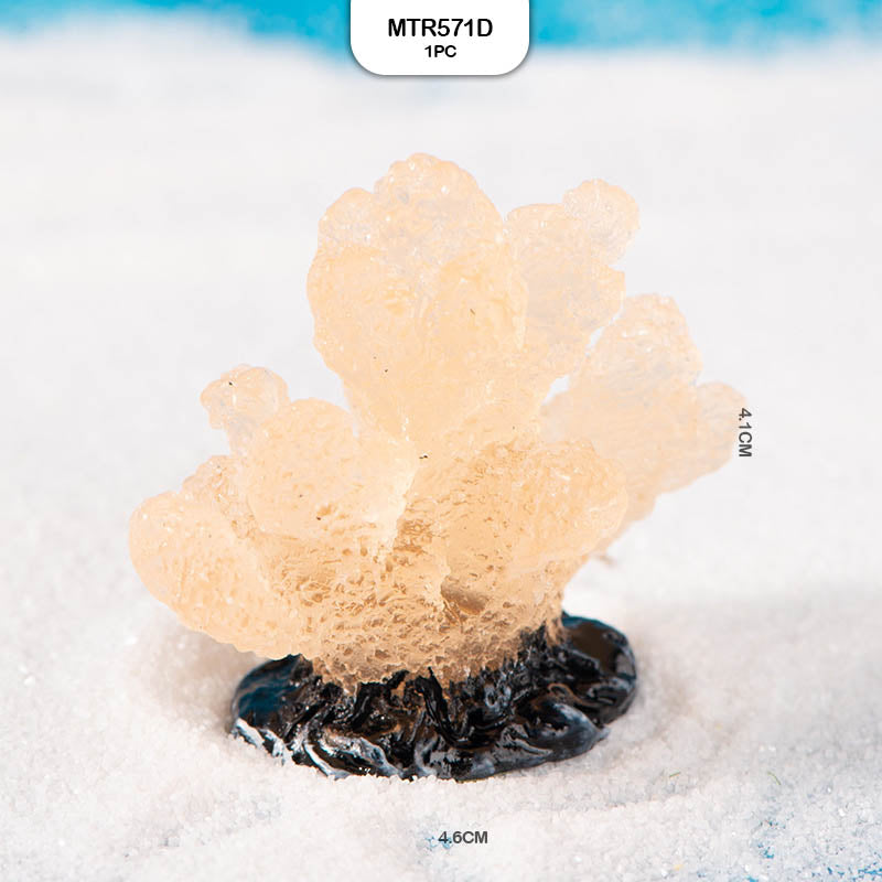 Gift To Love | Miniature Model Sea Plants | Code : MTR571D