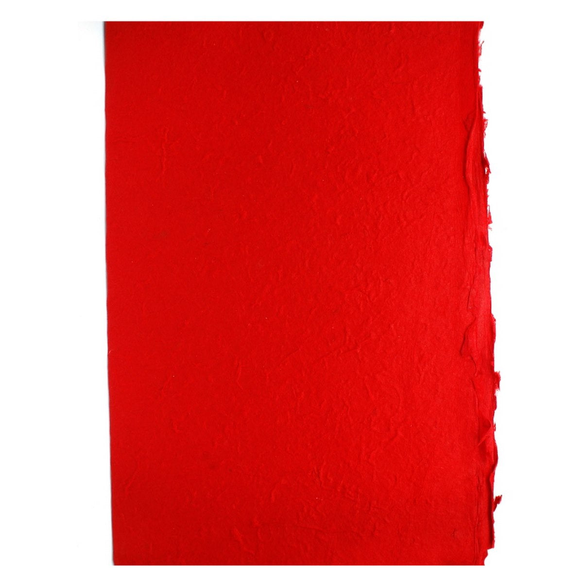 Gift To Love | Craft Flower Paper Sheet Plain Colour | Code : RDWS00