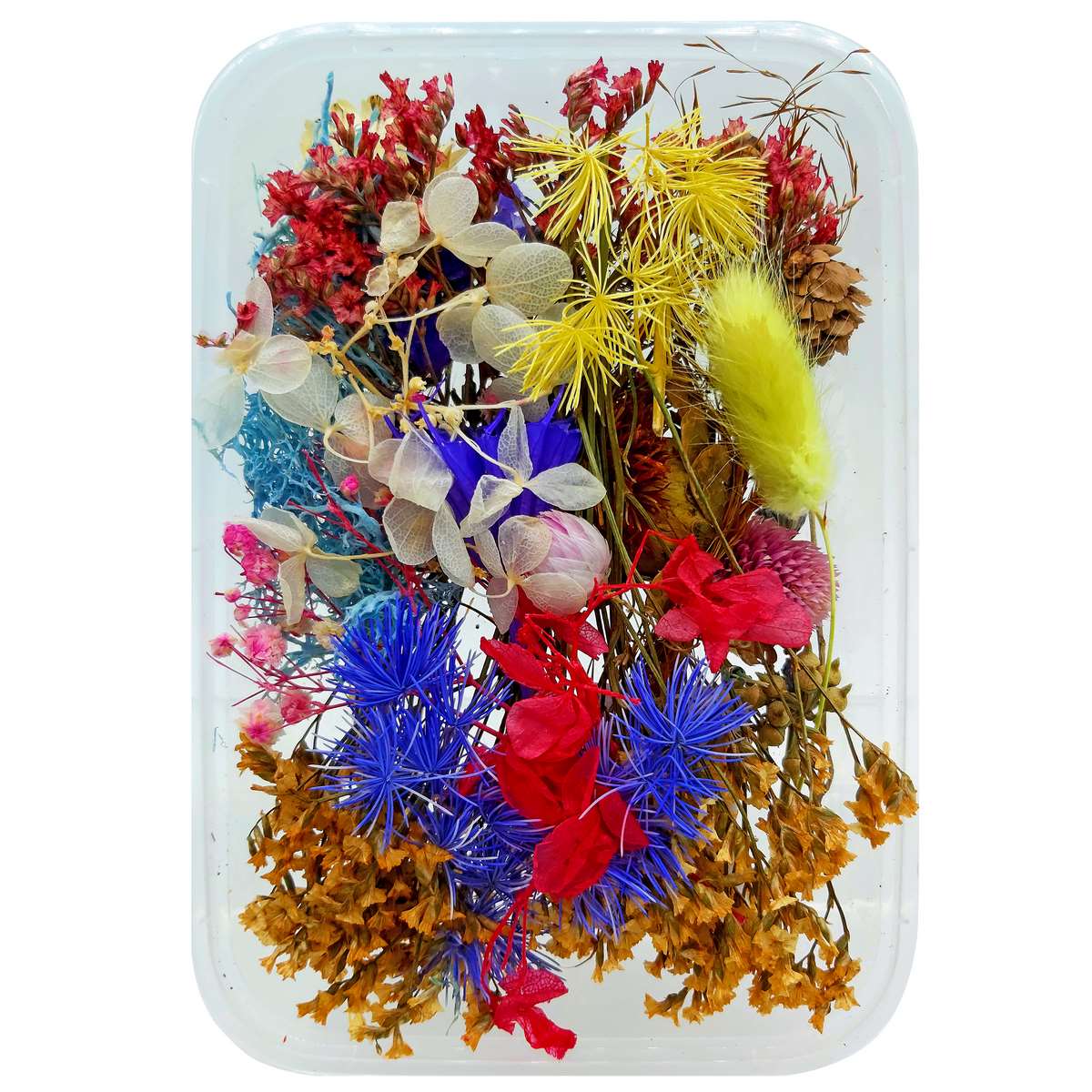 Gift To Love | Dried Flower Box | Code : YW-1BOX