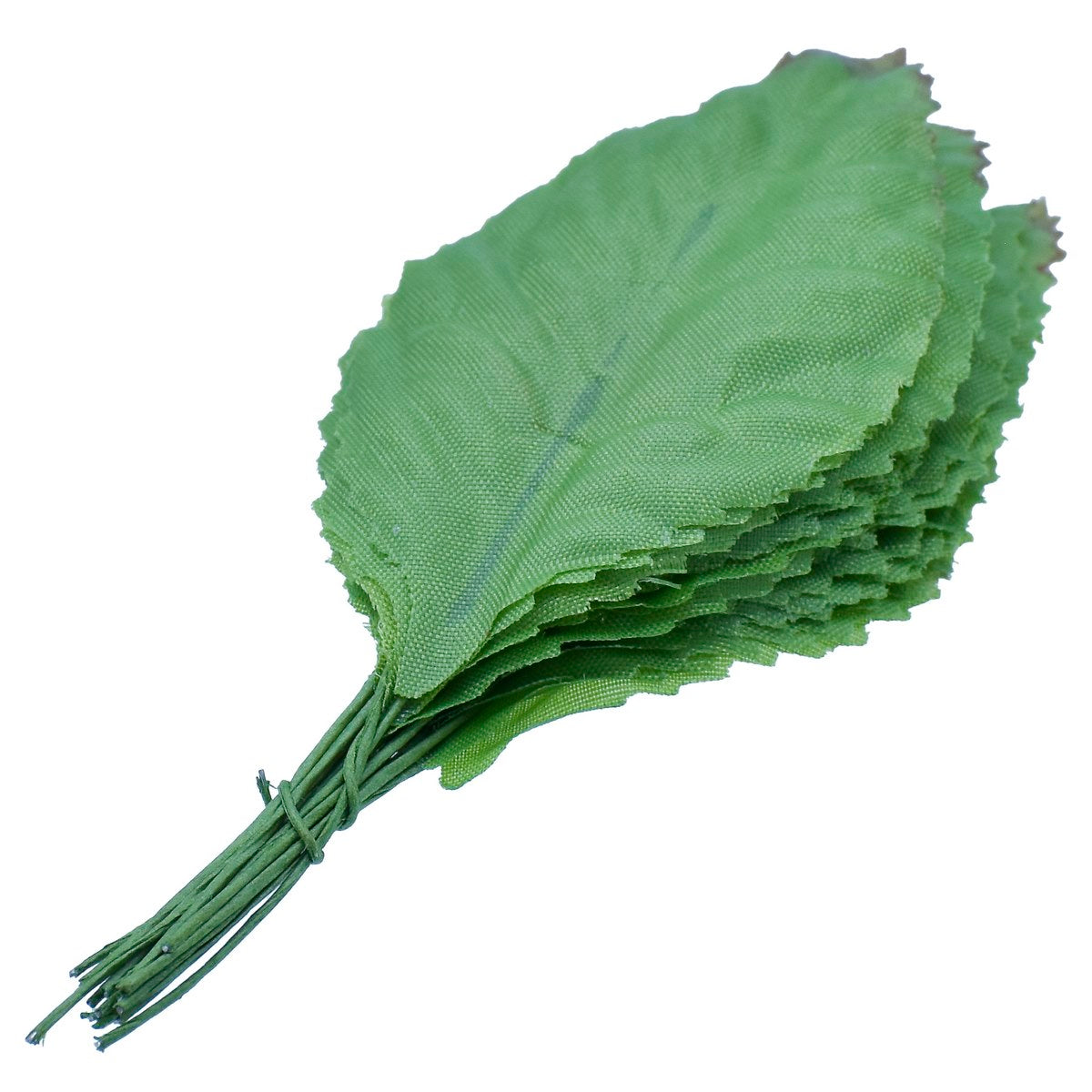 Dried Flower And Leaf