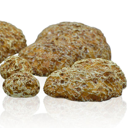 Gift To Love | Artificial Decorative Stone | Color : Natural | Pcs : 6 Pcs | Code : ADGS05
