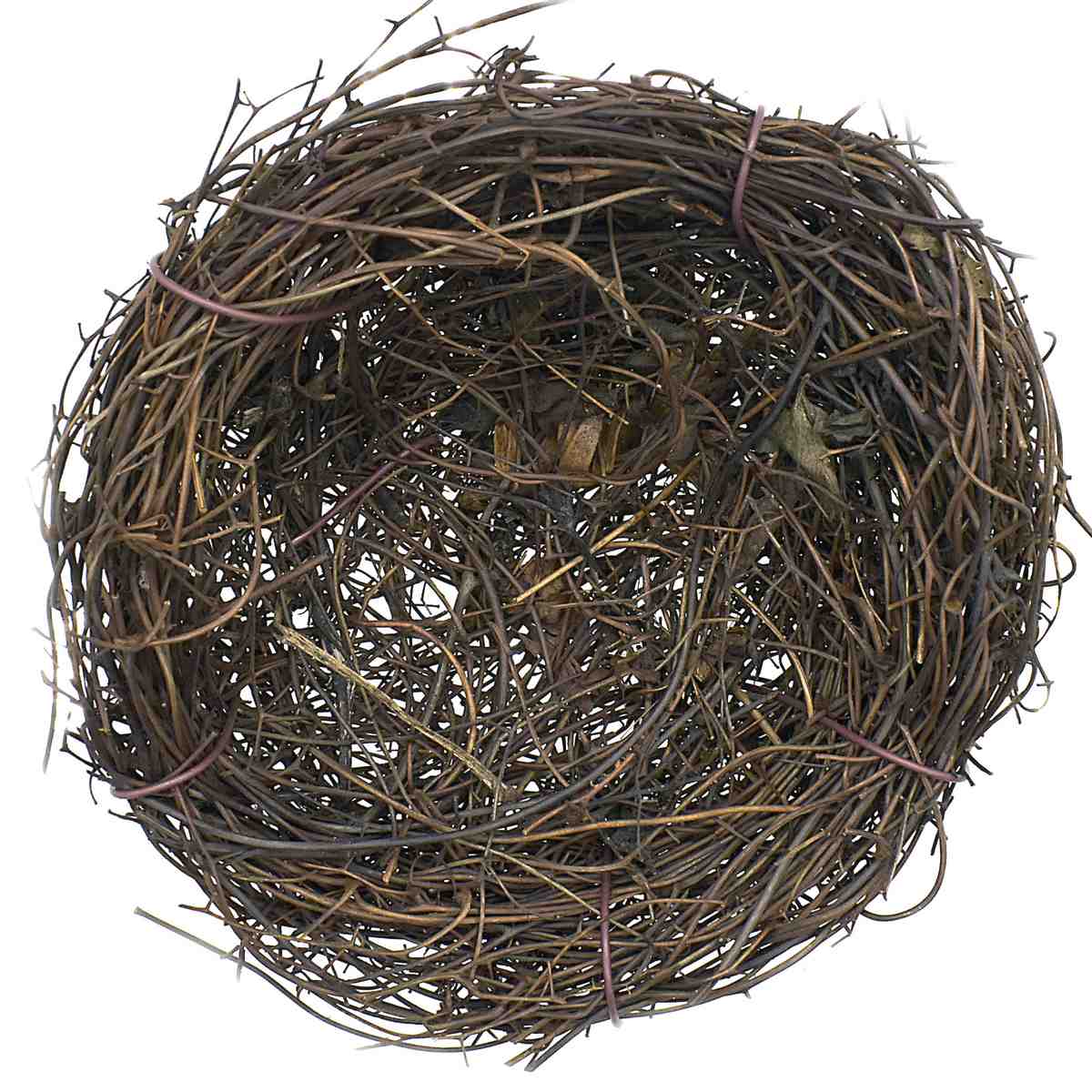 Gift To Love | Bird Nest | Size : 10 Cm | Code : BN10CM