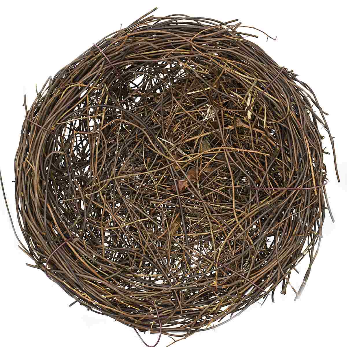 Gift To Love | Bird Nest | Size : 15 Cm | Code : BN15CM
