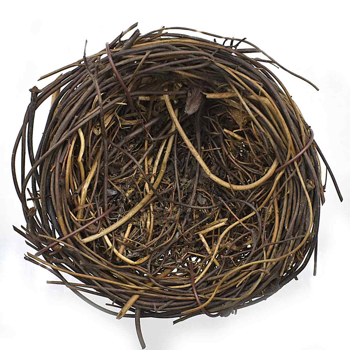 Gift To Love | Bird Nest | Size : 6 Cm | Code : BN6CM