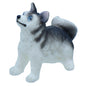 Gift To Love | Fox | Code : C0130-4