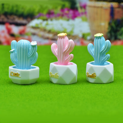 Gift To Love | Miniature Model Cactus Tree Smile | Pcs : 3 Pcs | Code : C0431-C