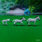 Gift To Love | Miniature Model Zebra | Pcs : 6 Pcs Set | Code : C0666-7