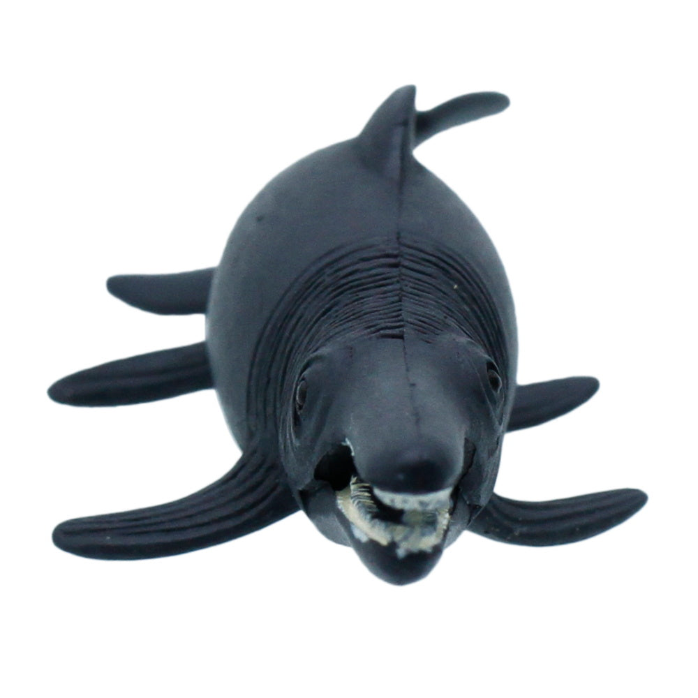 Gift To Love | Miniature Model Taimanlona Ocean | Code : C1336-6