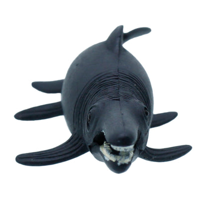 Gift To Love | Miniature Model Taimanlona Ocean | Code : C1336-6