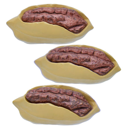 Gift To Love | Miniature Open Pea Nuts | Pcs : 3 Pcs Set | Code : C1515-4