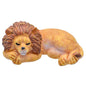 Gift To Love | Lions | Code : C1531-5