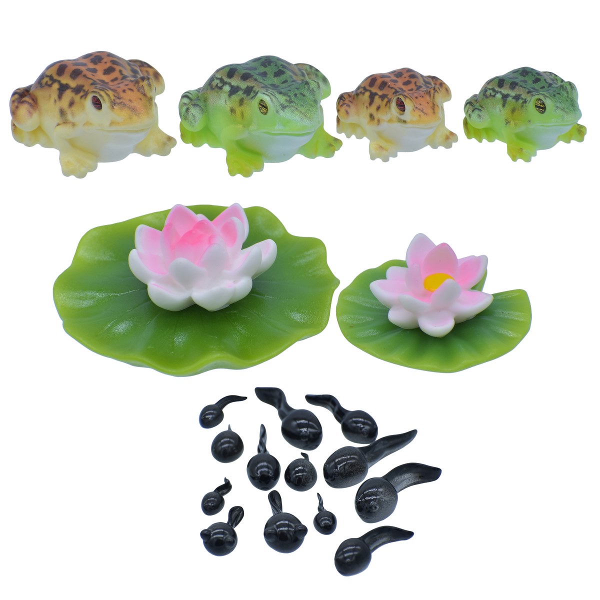 Gift To Love | Frog Leck | Pcs : 9 Pcs Set | Code : C1577-A