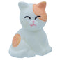 Gift To Love | Miniature Cat | Code : C1670-2