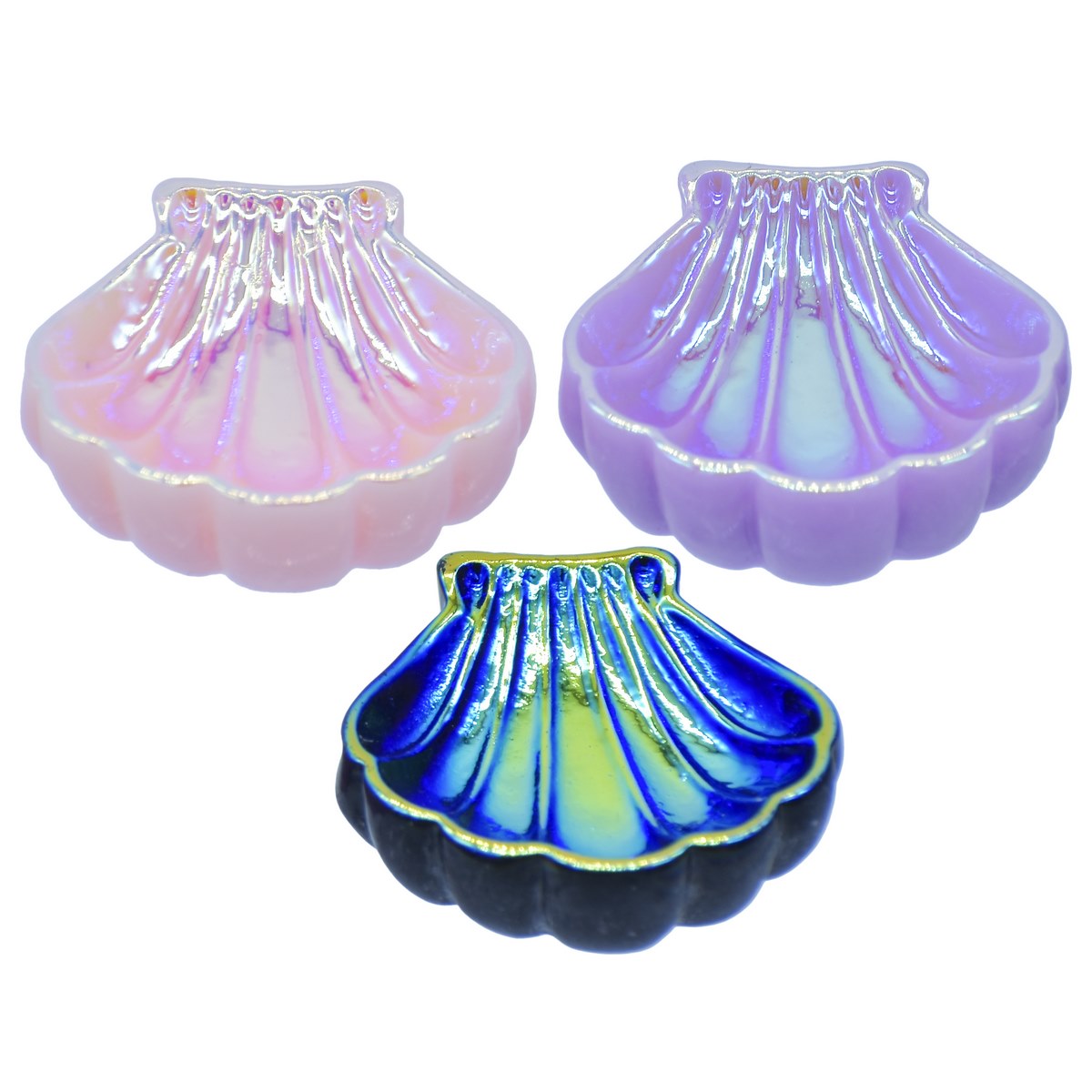 Gift To Love | Large Colorful Shells | Pcs : 6 Pcs Set | Code : C2050-A