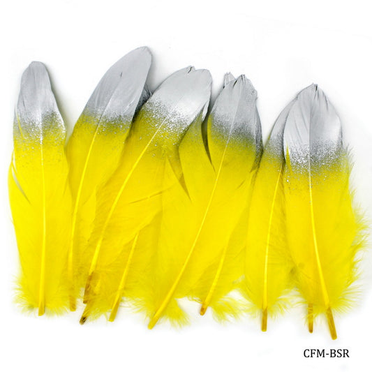 Gift To Love | Feather Artificial Medium | Color : Colour & Silver | Pcs : 10 Pcs | Code : CFM-BSR
