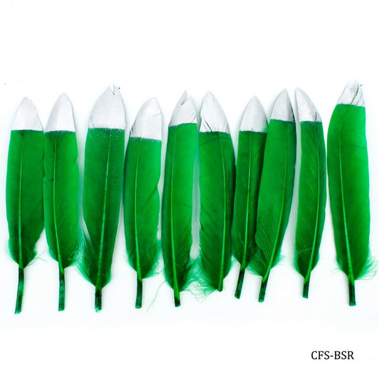 Gift To Love | Feather Artificial Small | Color : Colour & Silver | Pcs : 10 Pcs | Code : CFS-BSR