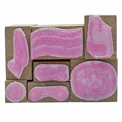 Gift To Love | Craft Stamp Set Music Feather | Pcs : 7 Pcs Set | Code : CSSC06