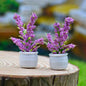 Gift To Love | Artificial Miniature Tree Flower Pot 2 Pcs | Code : CT011-B