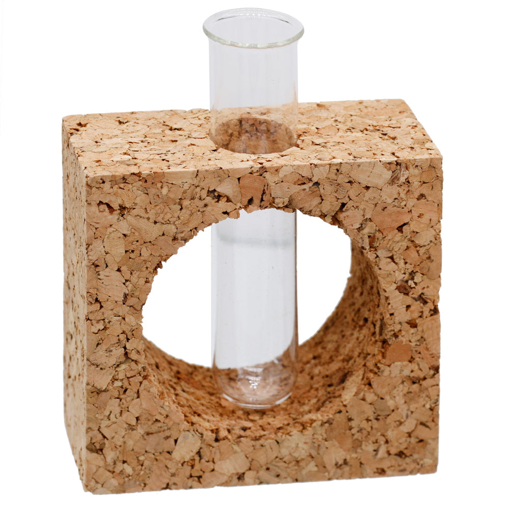 Gift To Love | Cork Test Tube Planter Square | Code : CTTP00