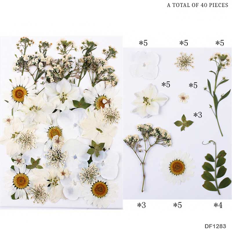 Gift To Love | Dry Flower Sheet | Code : DF1283
