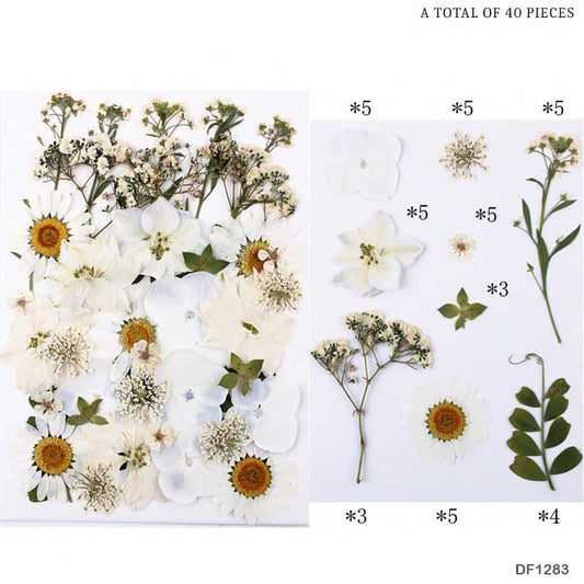 Gift To Love | Dry Flower Sheet | Code : DF1283