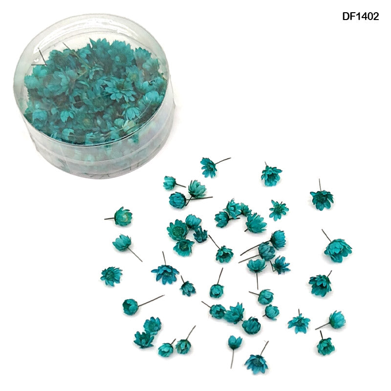 Df1402 Dry Flower 140Pcs Round Box Peacock Blue-Gift To Love-Art & Craft