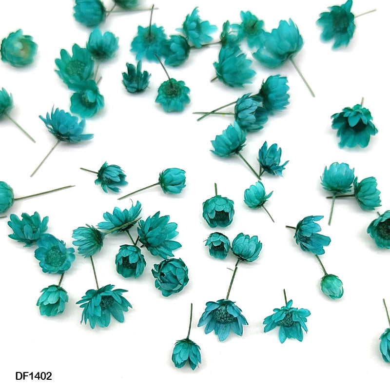 Df1402 Dry Flower 140Pcs Round Box Peacock Blue