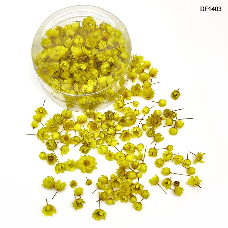 Df1403 Dry Flower 140Pcs Round Box Yellow-Gift To Love-Art & Craft