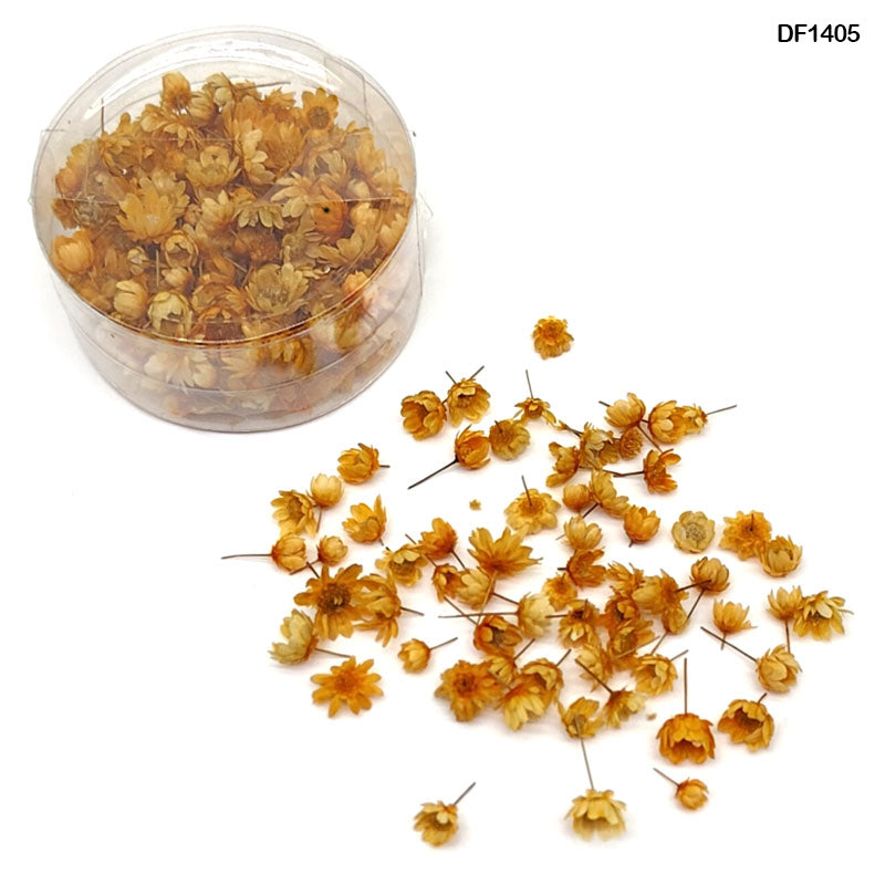 Dry Flower 140 Pcs Round Box Orange-Gift To Love-Art & Craft