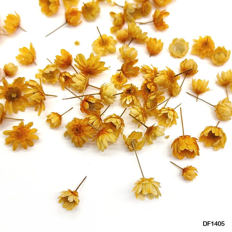 Dry Flower 140 Pcs Round Box Orange