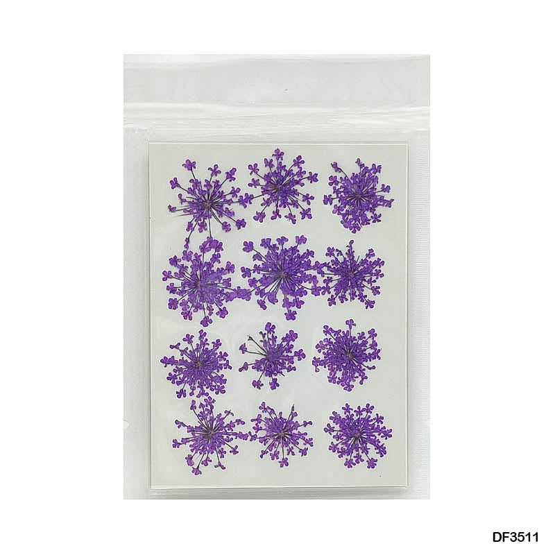 Gift To Love | Dry Flower Sheet | Pcs : 12 Sheets | Code : DF3511