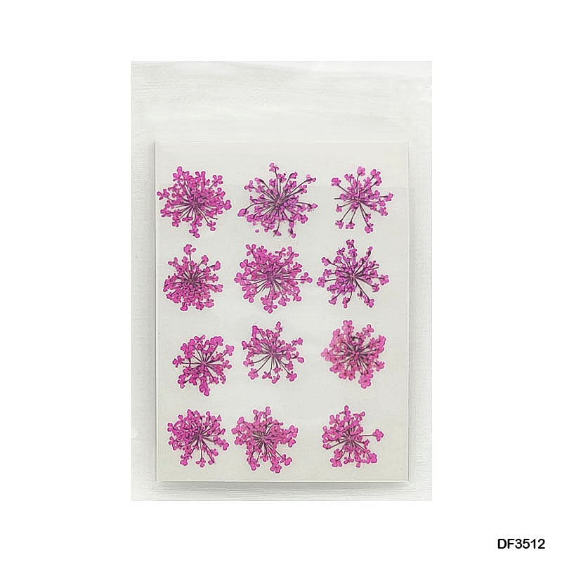 Gift To Love | Dry Flower Sheet | Pcs : 12 Pcs | Code : DF3512