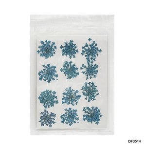 Gift To Love | Dry Flower Sheet | Pcs : 12 Pcs | Code : DF3514