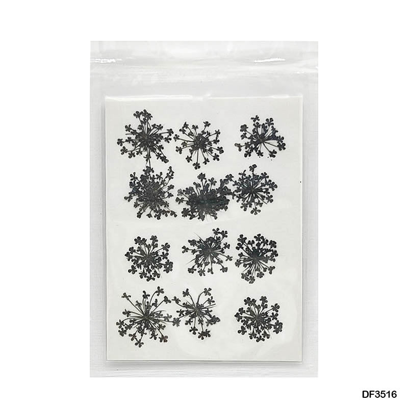 Gift To Love | Dry Flower Sheet | Pcs : 12 Pcs | Code : DF3516