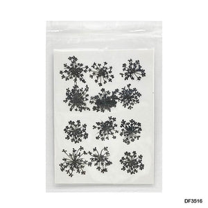 Gift To Love | Dry Flower Sheet | Pcs : 12 Pcs | Code : DF3516