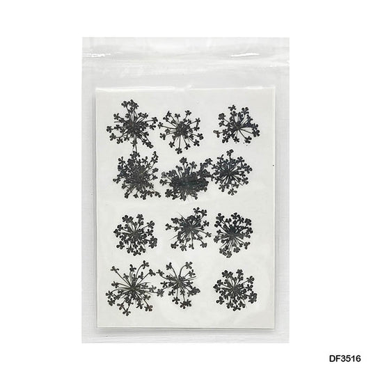 Gift To Love | Dry Flower Sheet | Pcs : 12 Pcs | Code : DF3516